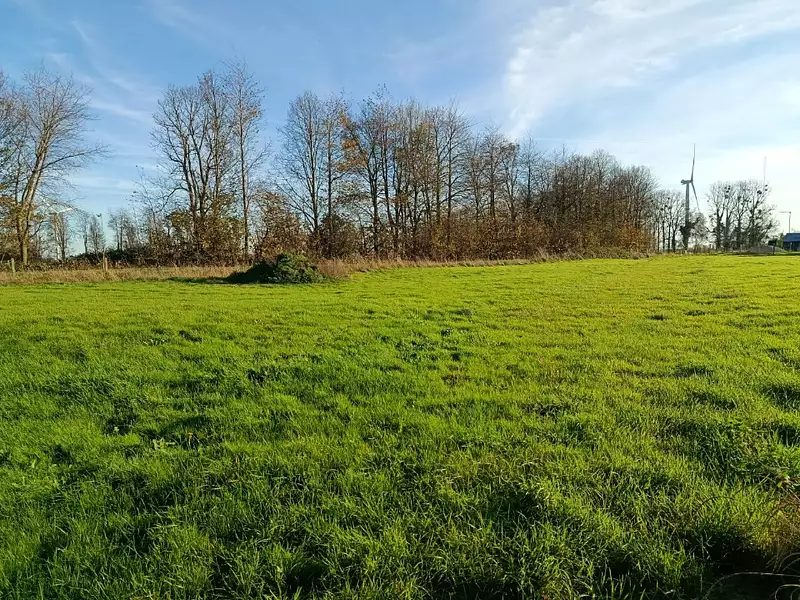 Terrain à bâtir, 2 591 m² - Smermesnil (76660)