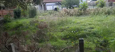 Maison neuve, 90 m²