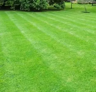 Maison neuve, 110 m²