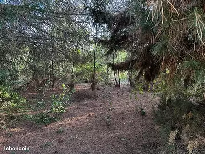 Terrain à bâtir, 1 800 m²