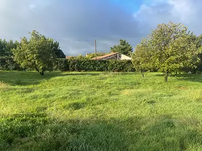 Maison neuve, 80 m²