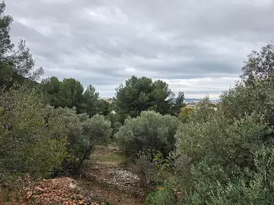 Maison neuve, 90 m²