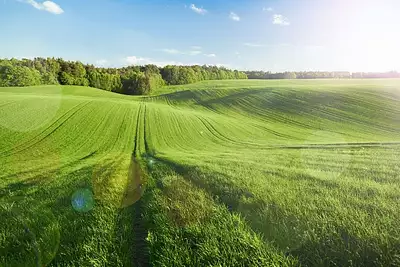 Terrain à bâtir, 981 m²