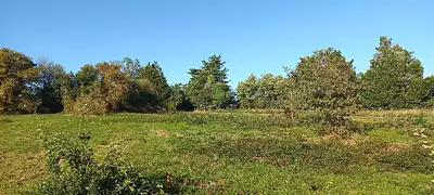 Terrain à bâtir, 1 300 m²