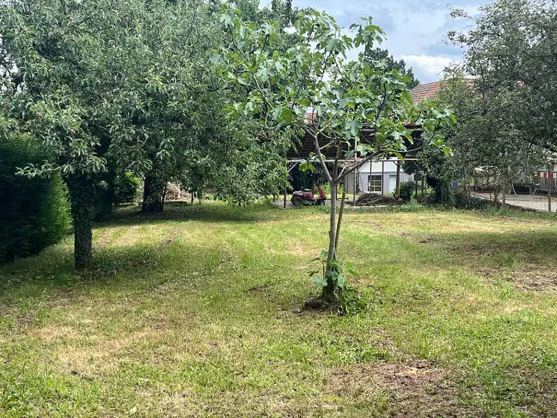Terrain à bâtir, 1 290 m² - Heiligenstein (67140)