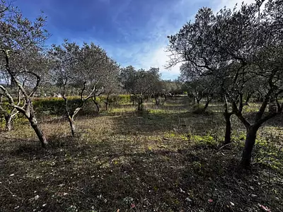 Terrain à bâtir, 2 000 m²