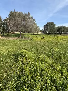 Terrain à bâtir, 692 m²