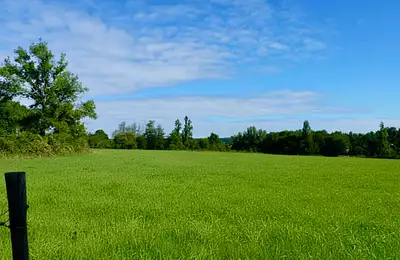 Terrain à bâtir, 985 m²