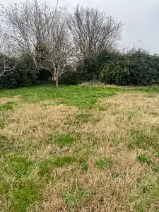 Maison neuve, 90 m²