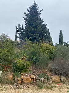 Terrain à bâtir, 1 134 m²