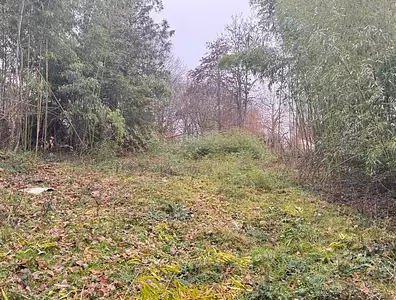 Maison neuve, 80 m²