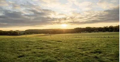 Terrain à bâtir, 423 m²