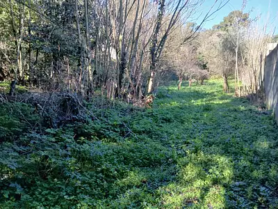 Maison neuve, 77 m²