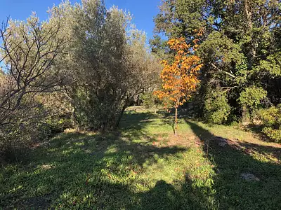 Maison neuve, 64 m²