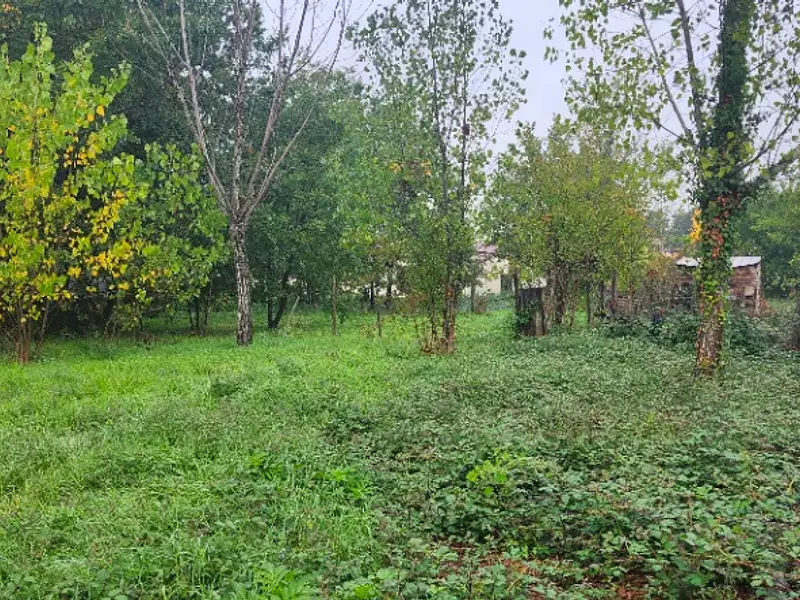 Terrain à bâtir, 1 292 m² - Senouillac (81600)