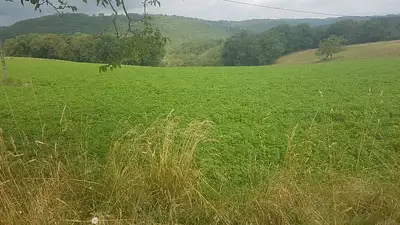 Terrain à bâtir, 1 006 m²