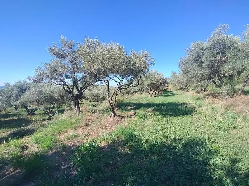 Terrain à bâtir, 2 640 m² - Vagnas (07150)