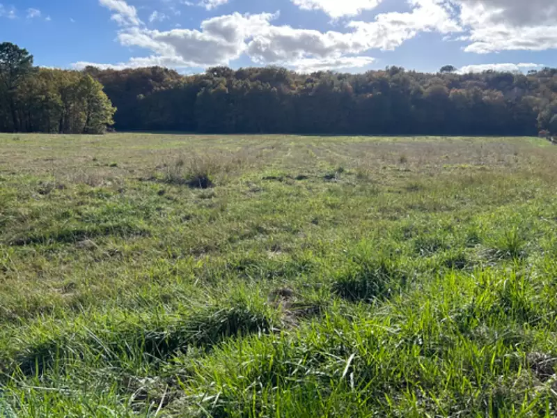 Terrain à bâtir, 600 m² - Landiras (33720)