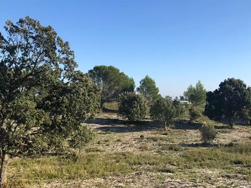 Terrain à bâtir, 499 m² - Lirac (30126)