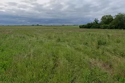 Maison neuve, 100 m²