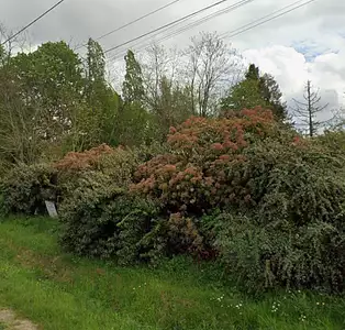 Terrain à bâtir, 550 m²