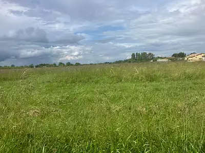 Terrain à bâtir, 3 500 m²