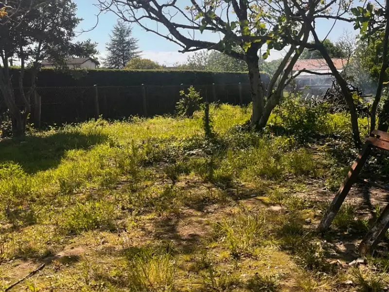 Terrain à bâtir, 300 m² - Targon (33760)