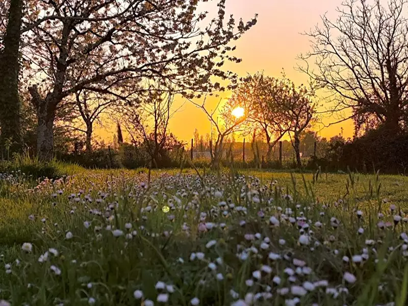 Terrain à bâtir, 1 300 m² - Coutras (33230)