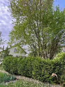 Maison neuve, 90 m²