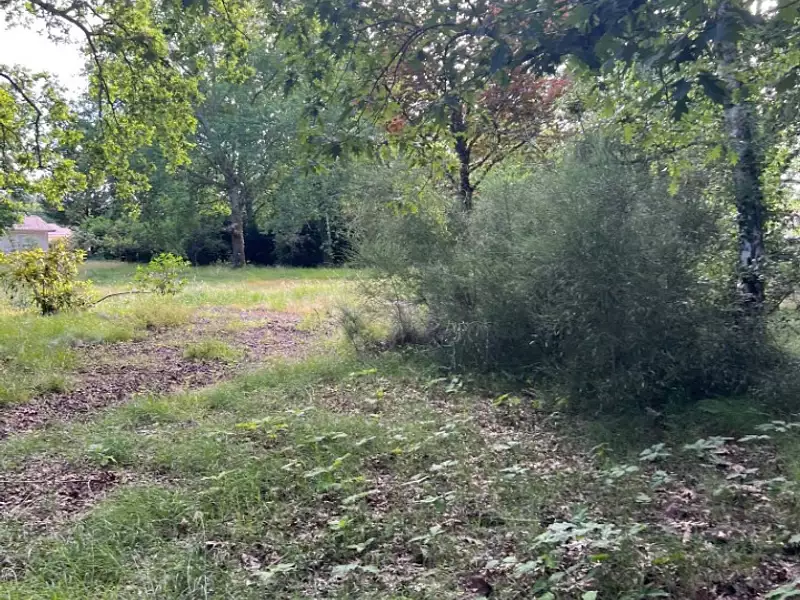 Maison neuve, 80 m² - La Teste-de-Buch (33260)