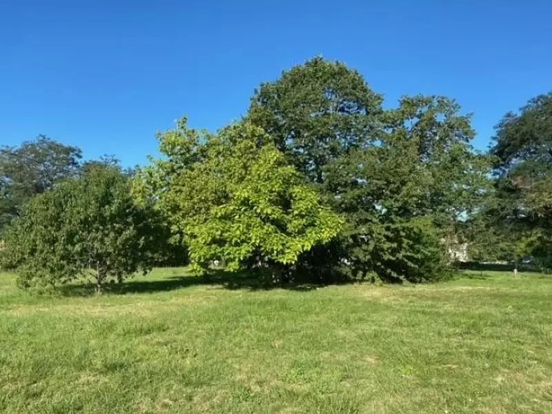 Maison neuve, 110 m² - Robecq (62350)