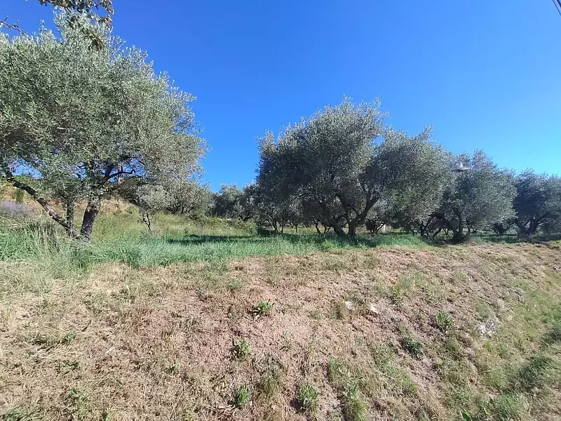Terrain à bâtir, 2 640 m² - Vagnas (07150)