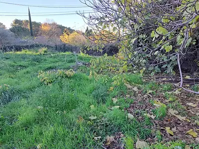 Maison neuve, 98 m²