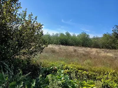 Maison neuve, 150 m²