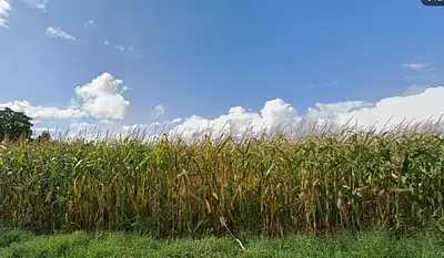 Terrain à bâtir, 766 m²