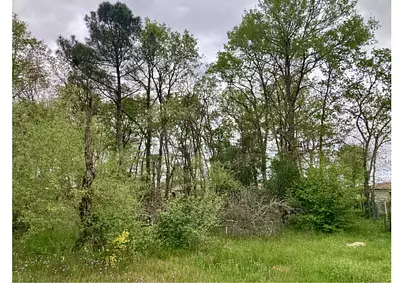 Maison neuve, 80 m²