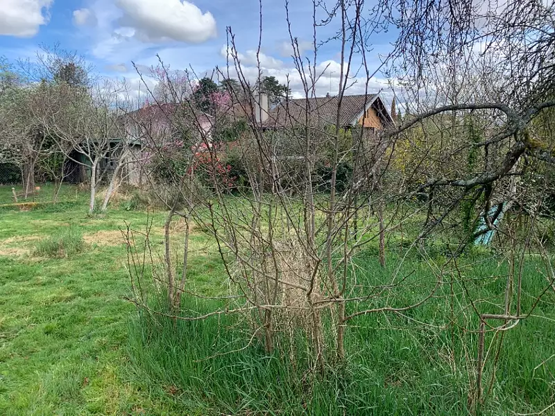 Maison neuve, 95 m² - Bressolles (01360)