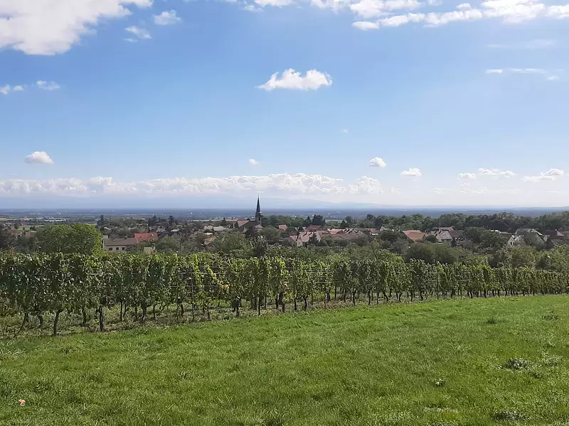 Maison neuve, 131 m² - Wuenheim (68500)