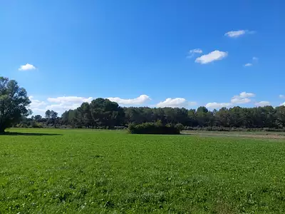 Maison neuve, 60 m²