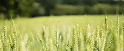 Terrain à bâtir, 546 m²