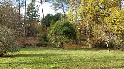 Terrain à bâtir, 1 500 m²