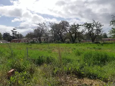 Maison neuve, 105 m²