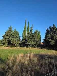 Terrain à bâtir, 310 m²