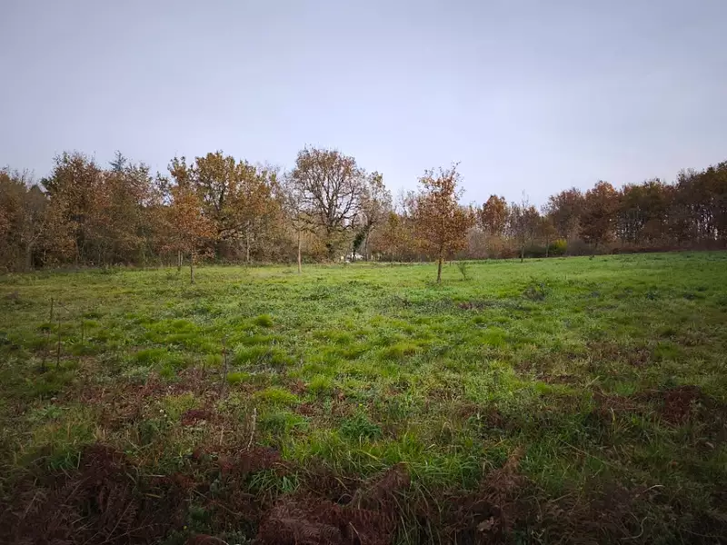 Terrain à bâtir, 1 584 m² - Damiatte (81220)