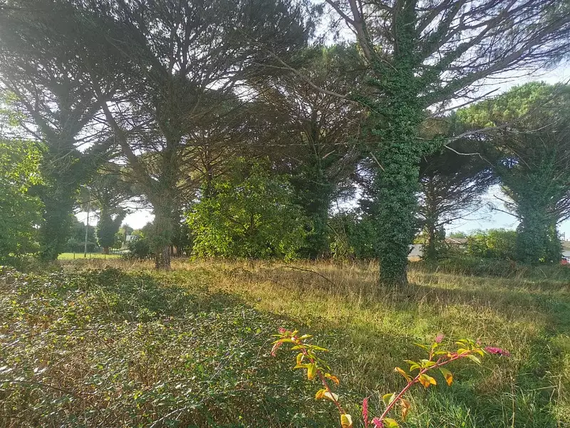 Terrain à bâtir, 1 030 m² - Langon (33210)