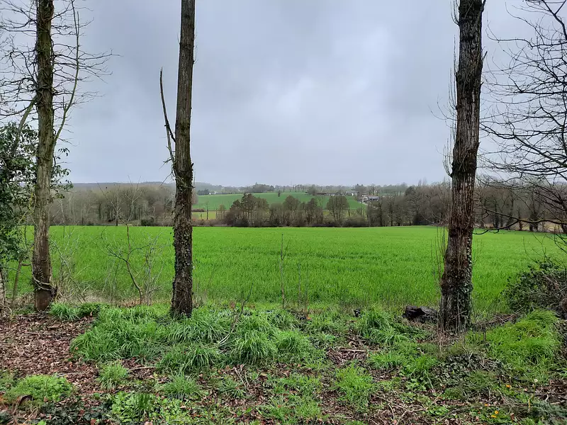 Terrain à bâtir, 326 m² - Melesse (35520)