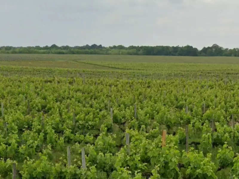 Terrain à bâtir, 649 m² - Portets (33640)