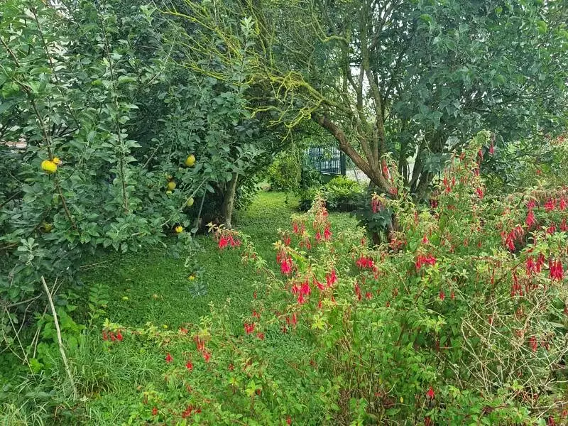 Terrain à bâtir, 1 000 m² - Saintry-sur-Seine (91250)