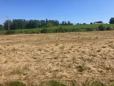 Terrain à bâtir, 1 200 m²