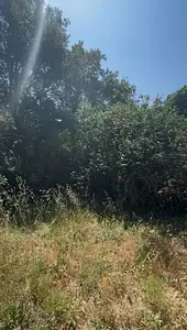 Maison neuve, 140 m²